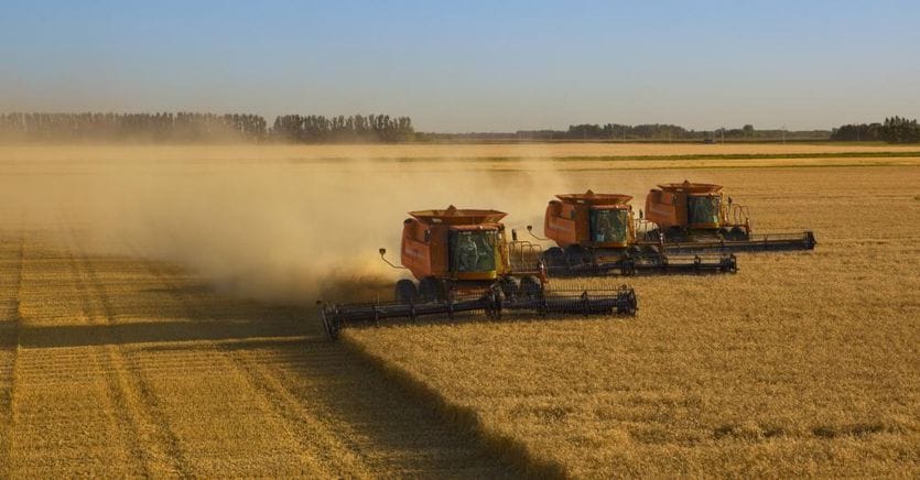 Corteva: «Innovazione strategica per colture più resistenti e risparmio di acqua»