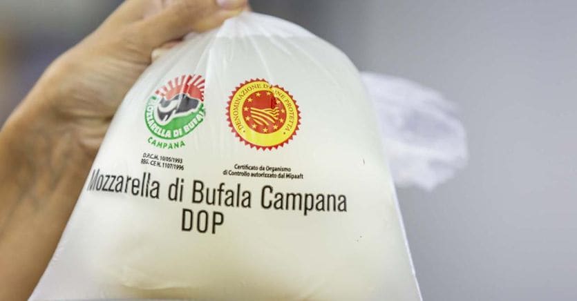 Filiera della Mozzarella di bufala Dop, bilancio di sostenibilità positivo