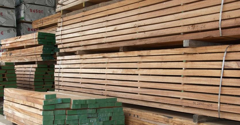 Deforestation, wood companies ask for an extension for the new regulation