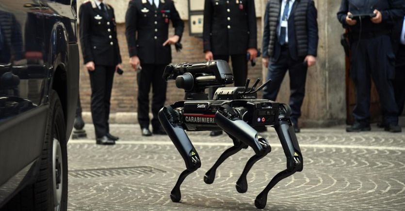 First mission to the Ministry of Culture for Saetta, the robot dog: how he intervened