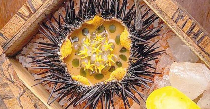 Dalle spiagge ai vicoli tra i sapori caleidoscopici della magica Bahia