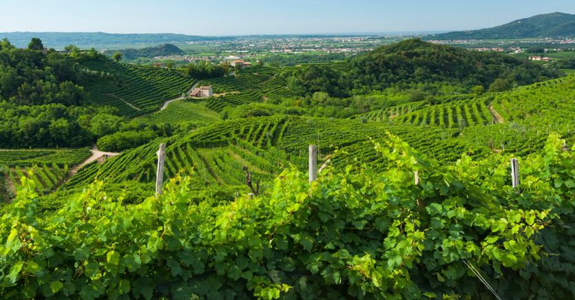 2024 starts very well with a boom in arrivals from abroad as wine tourism prepares for a record