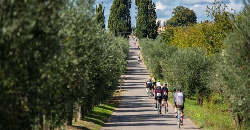 Cycle tourism, the business will soar beyond 5.5 billion in 2023