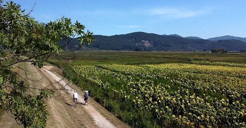 In sella ad una bike alla scoperta della meravigliosa Italia