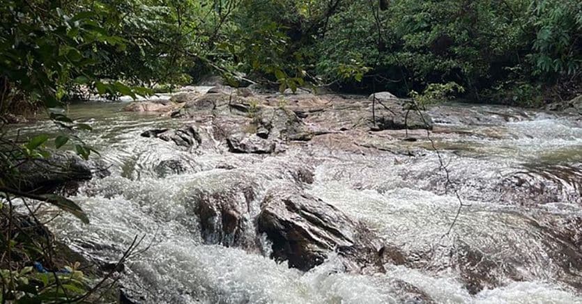 In Malesia incontri a tavola tra foresta e metropoli