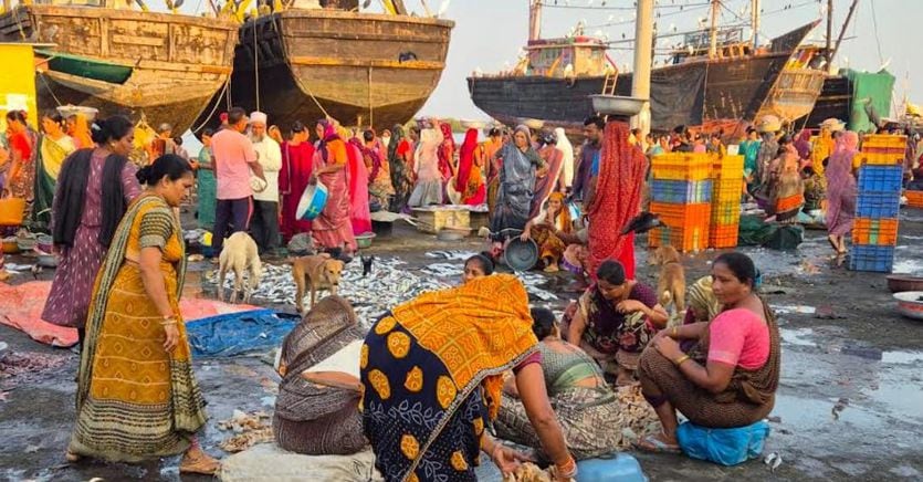 Spiagge, deserti e templi nel Gujarat col mito del Mahatma Gandhi