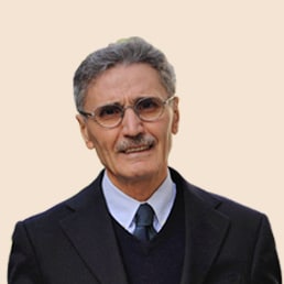 Sergio Fabbrini