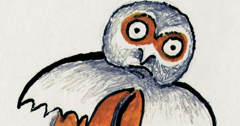 Una Civetta Di Civitavecchia Guarda La Luna Che In Mare Si Specchia Di Luna Piena Ce N Entra Parecchia Negli Occhi Tondi Di Questa Civetta Il Sole 24 Ore