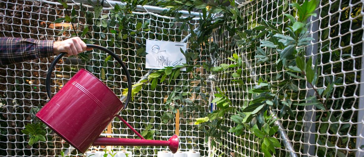 «Dans les branches, une cabane habitée»