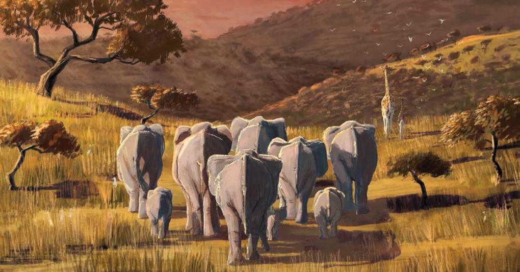 . Jim Field ha illustrato Nonno Natale di Michael Morpurgo 