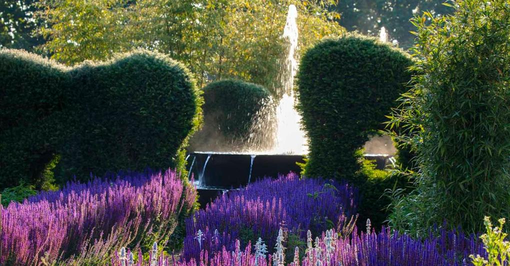 Giardini e fontana Venaria Reale (foto Dario Fusaro) 