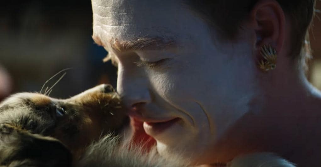 Dogman 
