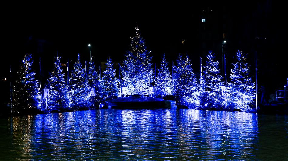 L'albero della conoscenza in piazza Vigili del Fuoco, Milano 