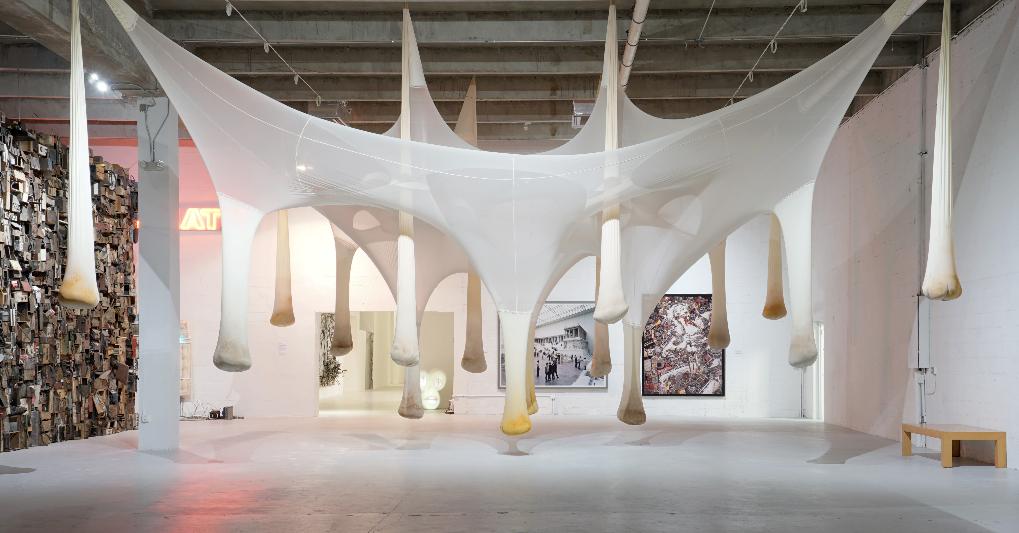 “É ô Bicho!”(2001), Ernesto Neto, parte della Margulies Collection at the Warehouse, a Miami. 