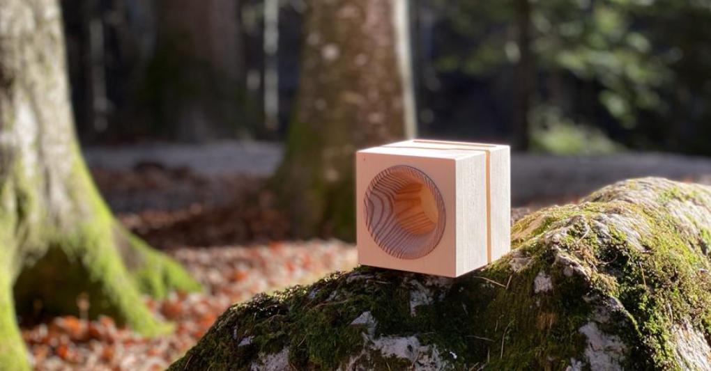 Vaia Wood larici e abeti spezzati si trasformano in amplificatori naturali: cubi dalla forma elegante, disegnati da Giorgio Leonardelli, Gabriele Motter e Alice Tonelli, che trasmettono suoni caldi e profondi. 