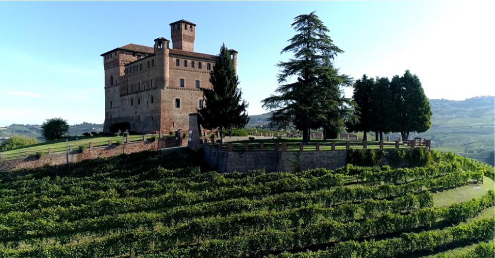 La vigna Gustava e il castello di Grinzane Cavour. Foto Murialdo. 