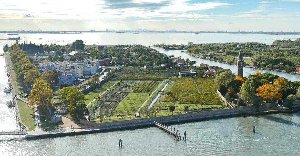 I vigneti ritrovati della Laguna di Venezia. 