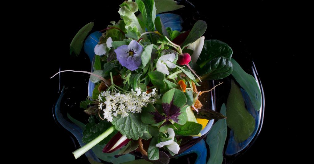 L'insalata How To Spend It, composta da 100 ingredienti, parte dall'insalata originale, la “21…31…41…51…”, creata 16 anni fa, ed evolve con nuove foglie e sapori. Foto Lido Vannucchi. 