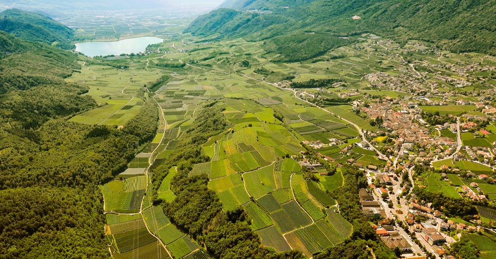 Il paese di Caldaro, il lago e le vigne della cantina Kaltern. 