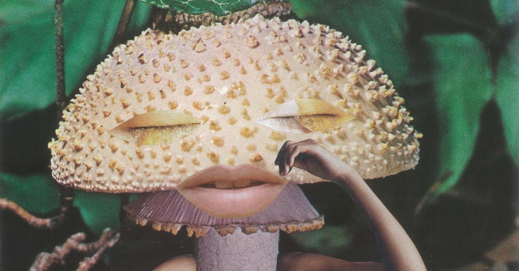 “Mindful Mushroom” (2017), di Seana Gavin, una delle opere in mostra a “The Art of Mushrooms”, al museo Serralves di Oporto fino al 31/12. 