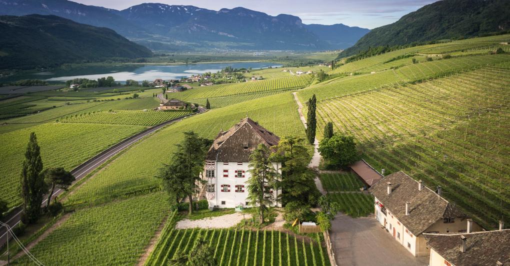 La VIGNA “Castel Ringberg” di Elena Walch 