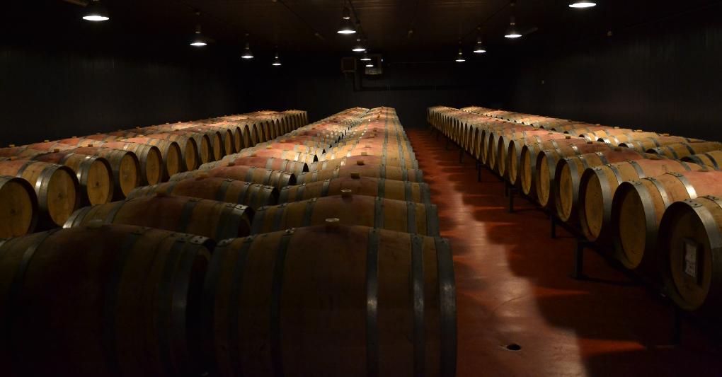 La barricaia Lungarotti 