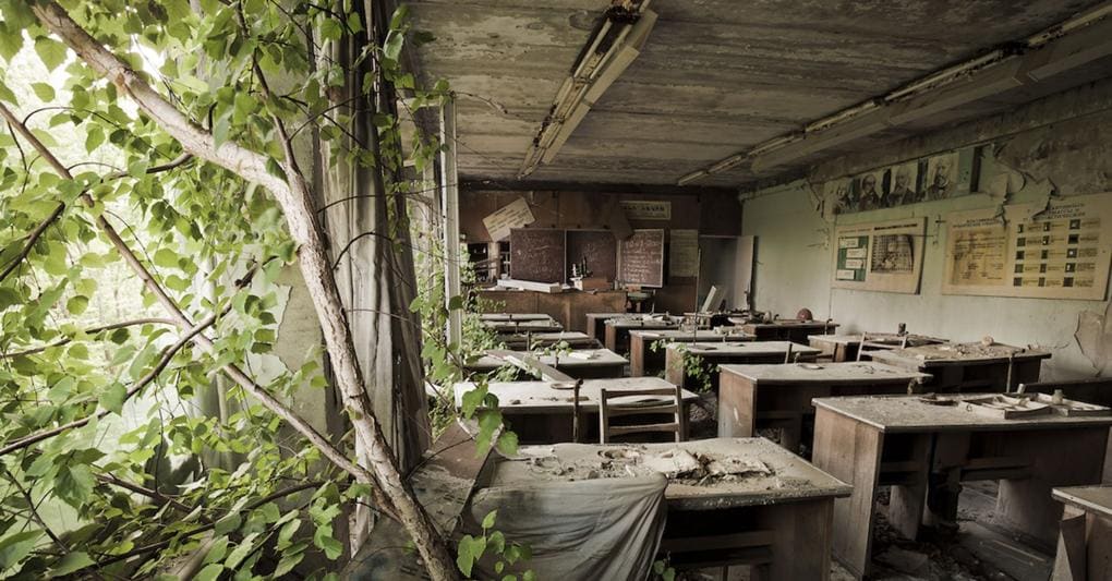 La scuola di Pripyat, abbandonata e invasa dalle piante cresciute negli anni successivi alla tragedia, avvenuta il 26 aprile 1986 (2005) 
