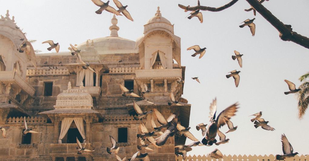 Udaipur è l’ex capitale del regno di Mewar, si trova nello stato del Rajasthan, nell'Ovest dell'India 
