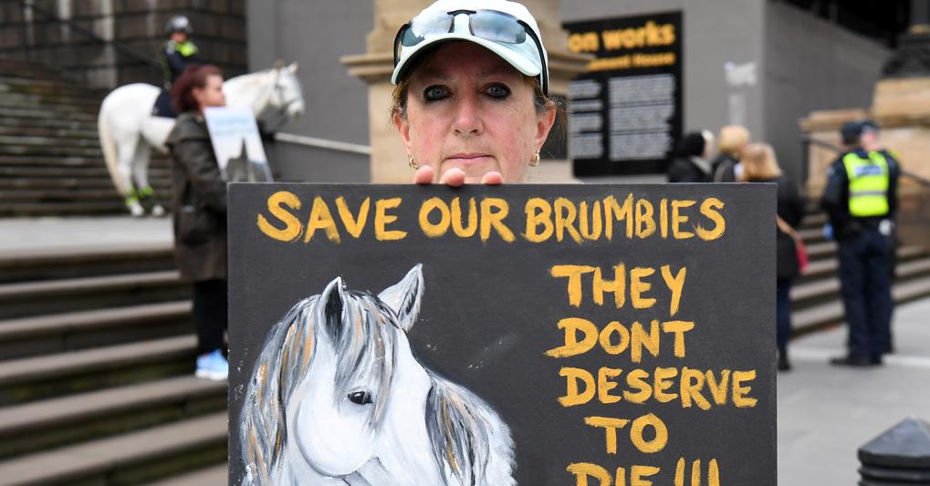 Una protesta a Melbourne lo scorso giugno: non abbatteteli! (credit: Afp) 