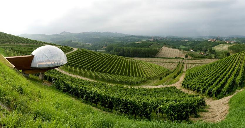 Tenuta Monsordo Bernardina