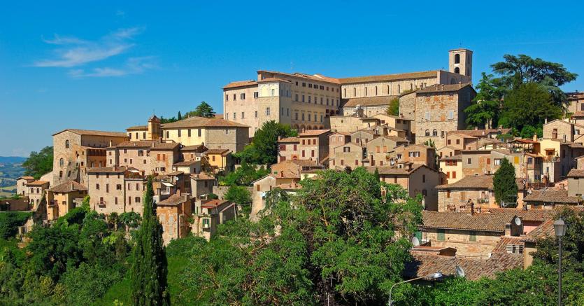 Todi (Marka)