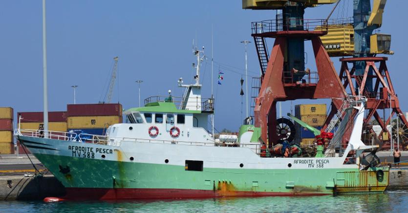 Dopo essere stati posti sotto sequestro nel porto Ras Al Hilal nella tarda serata del 9 ottobre da motovedette libiche mentre navigavano a circa 29 miglia dalla costa libica di Derna, i due pescherecci della marineria di Mazara del Vallo - “Afrodite Pesca” (nella foto Ansa) con sei uomini a bordo e il “Matteo Marrarino”, con sette uomini - sono stati rimessi in libertà