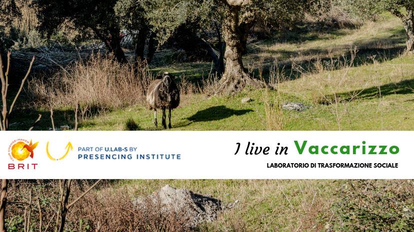 Il banner del progetto «I live in Vaccarizzo», selezionato dal Mit di Boston