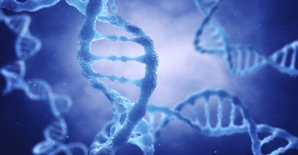 Scienze Della Vita L Hub Che Fara Crescere L Italia Il Sole 24 Ore