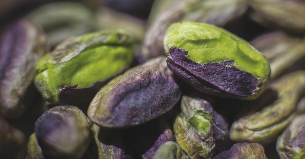 Pistacchio, l'oro verde di Bronte - Il Sole 24 ORE