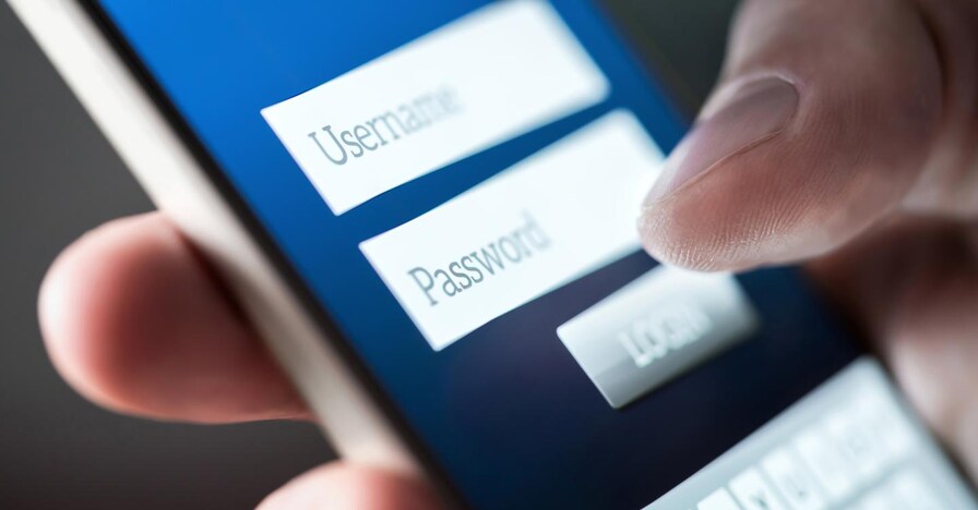 fidanzata derubata dei Paesi Bassi