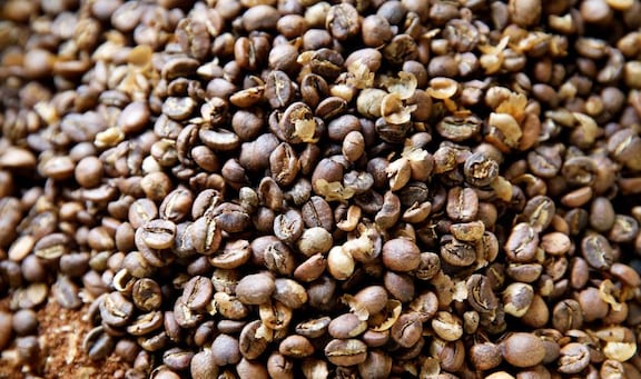 Chicchi di caffè tostati (Reuters) 