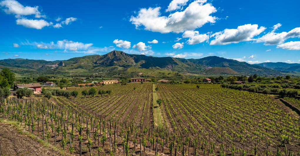 Vigneti ai piedi dell’Etna (AdobeStock) 