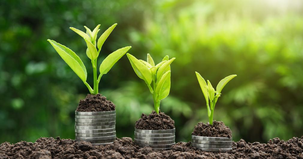 M Illumino Di Meno Alberi In Provincia Di Lodi Simbolo Di Rinascita Il Sole 24 Ore