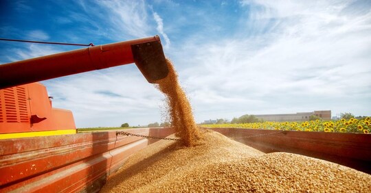 Con il grano a prezzi record soffrono le farine e i dolci - Il Sole 24 ORE