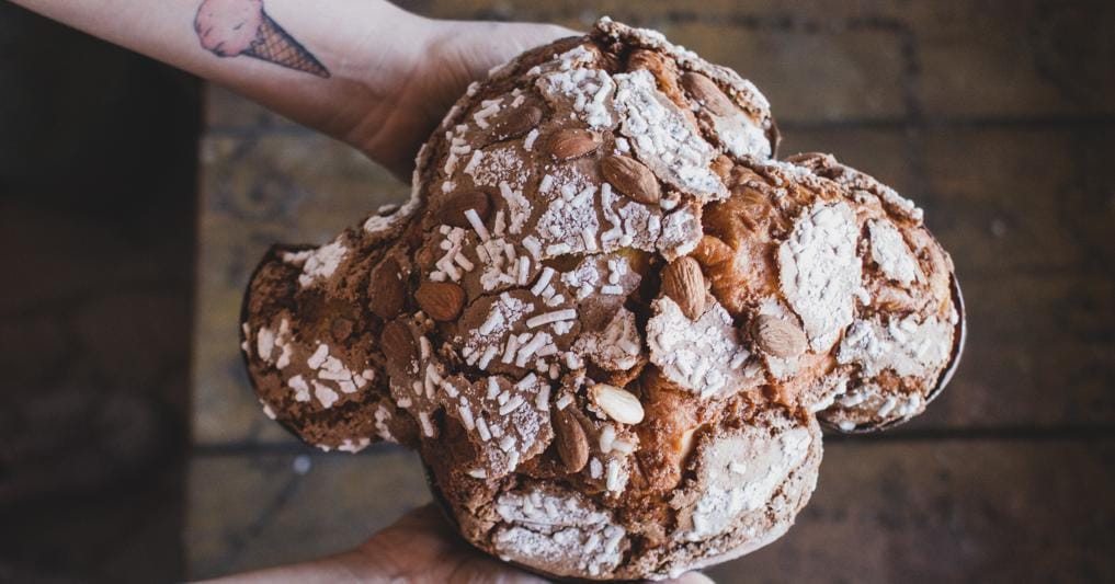 Una colomba della Cremeria Capolinea di Reggio Emilia 