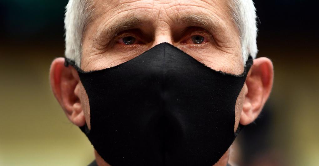 L’epidemiologo Anthony Fauci testimonia al Congresso degli Stati Uniti  