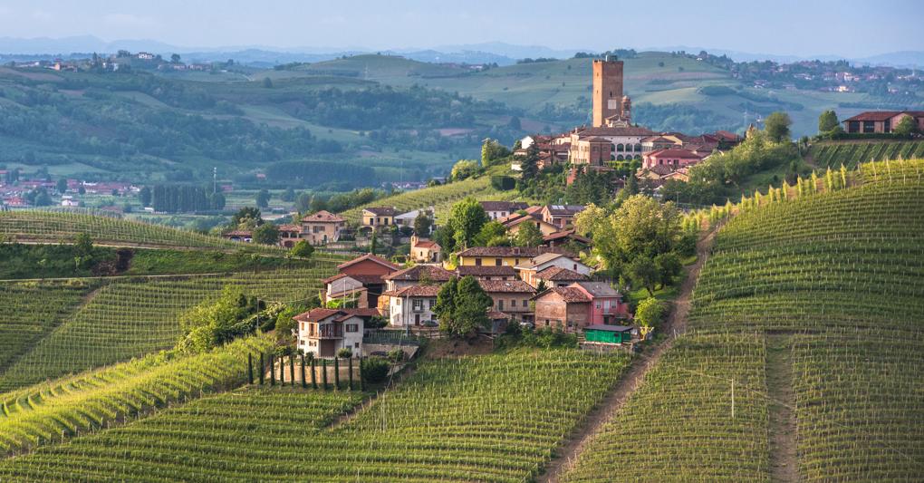 Il borgo di Barbaresco in Piemonte (AdobeStock) 