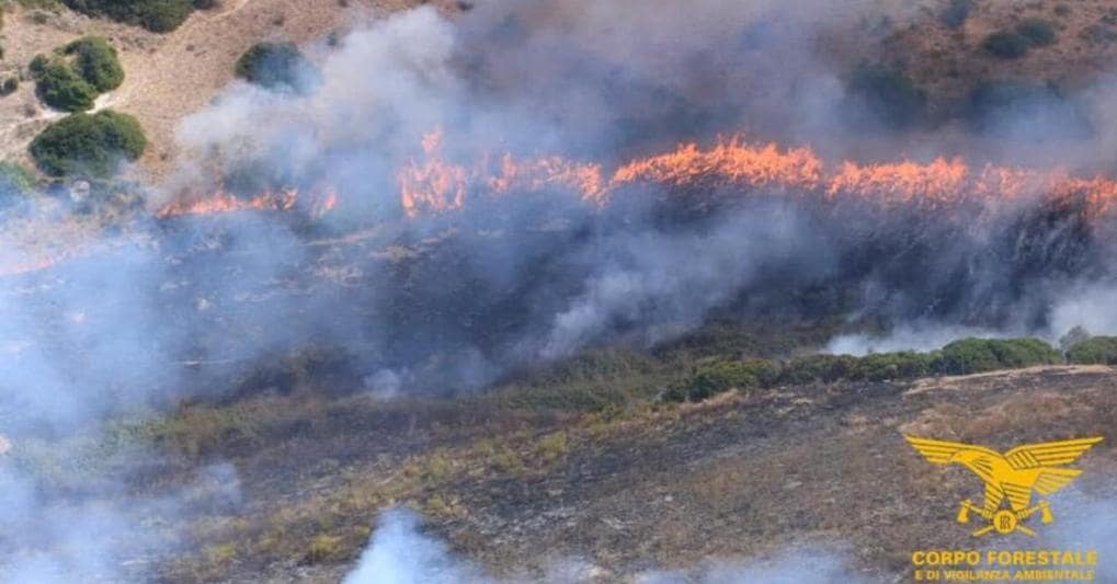 Sardegna Nella Morsa Degli Incendi In Fiamme Oltre 6mila Ettari Di Terreno Il Sole 24 Ore