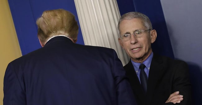 Anthony Fauci e, di spalle, Donald Trump (Epa) 