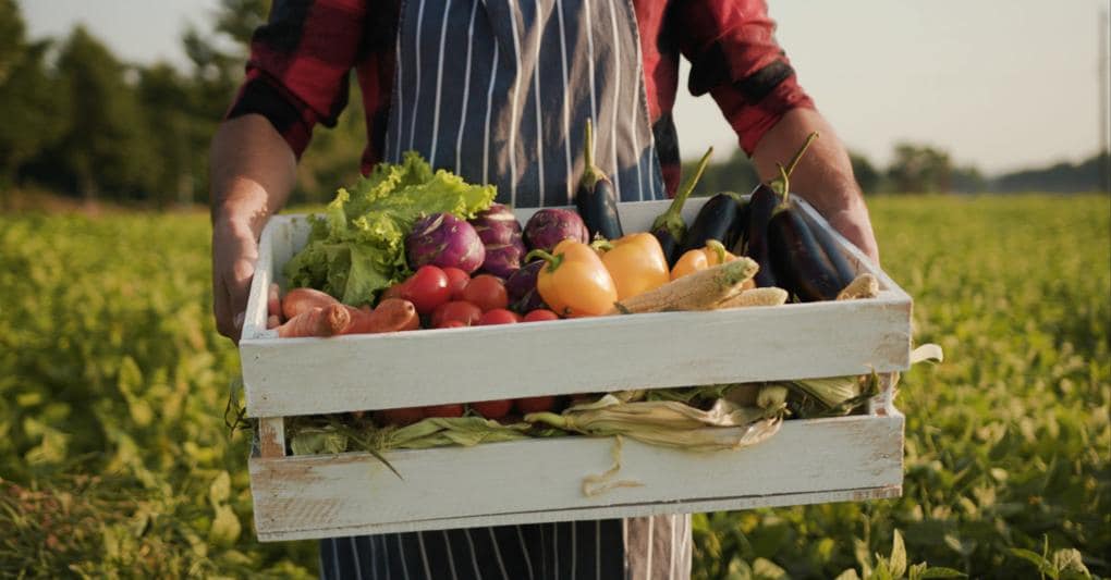 Sempre Piu Aziende Agricole Passano Alla Vendita Diretta Della Produzione Il Sole 24 Ore