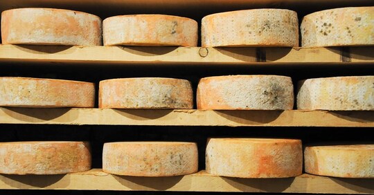I formaggi Dop valorizzano le produzioni di montagna (e i ...