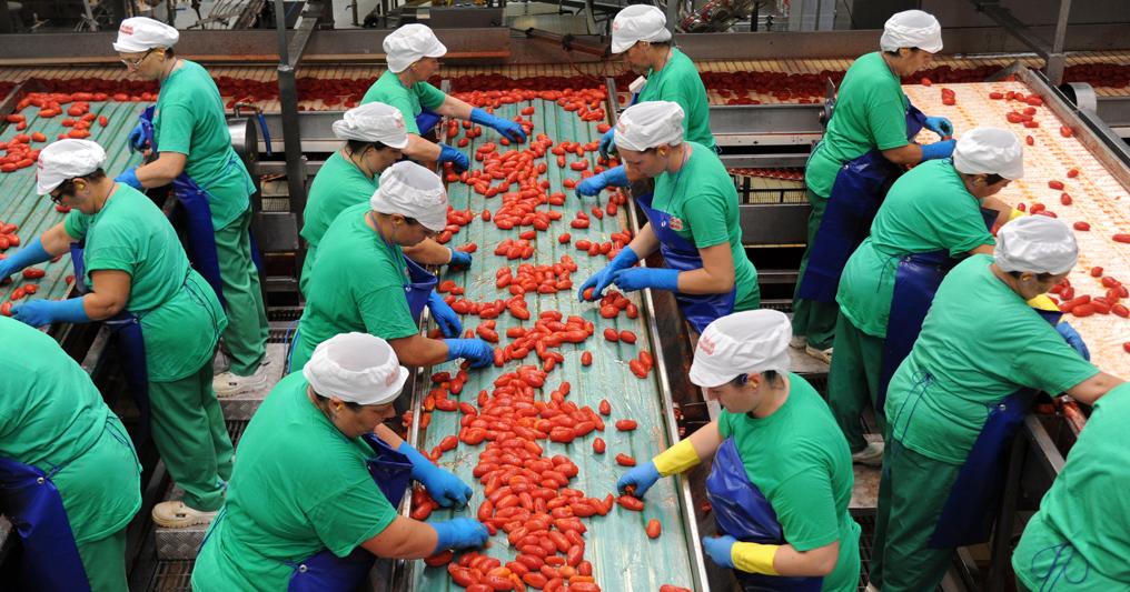 Italia primo trasformatore di pomodoro Bellanova: presto l'Igp di ...