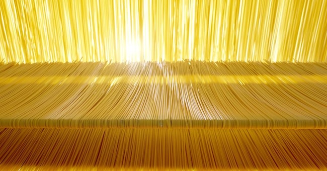 Leader regionale nella produzione e vendita di pasta, Sgambaro sviluppa il 76% del proprio fatturato in Veneto 