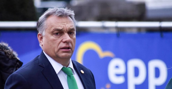 Il premier ungherese Viktor Orban   (Afp)